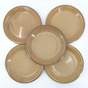 Studio Nova Copper Suite Salad Appetizer Plates Glossy Mottled Brown Set of 5
